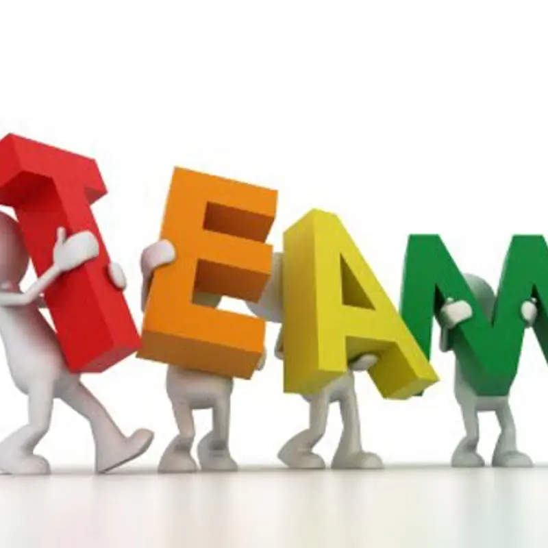 Project Team